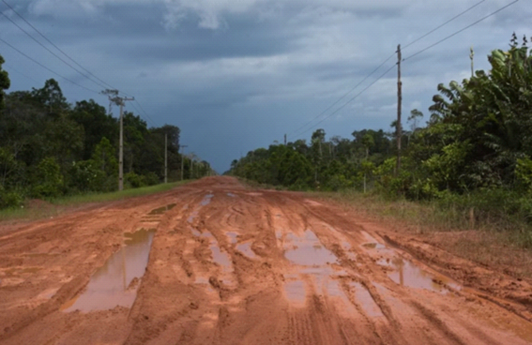 Secretário defende conciliar agenda ambiental e obra em BR na Amazônia